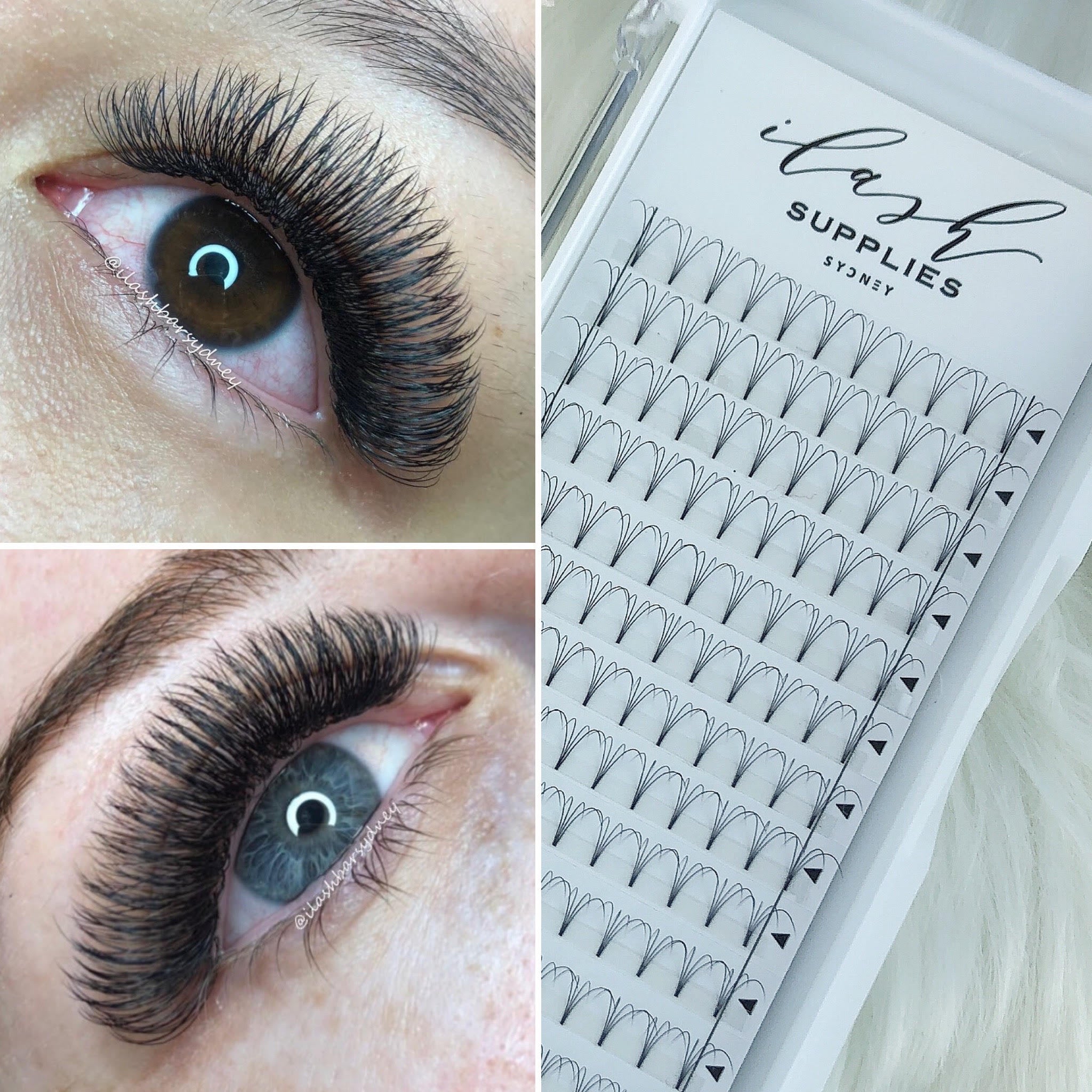 4D 0.07 D curl Premade fans