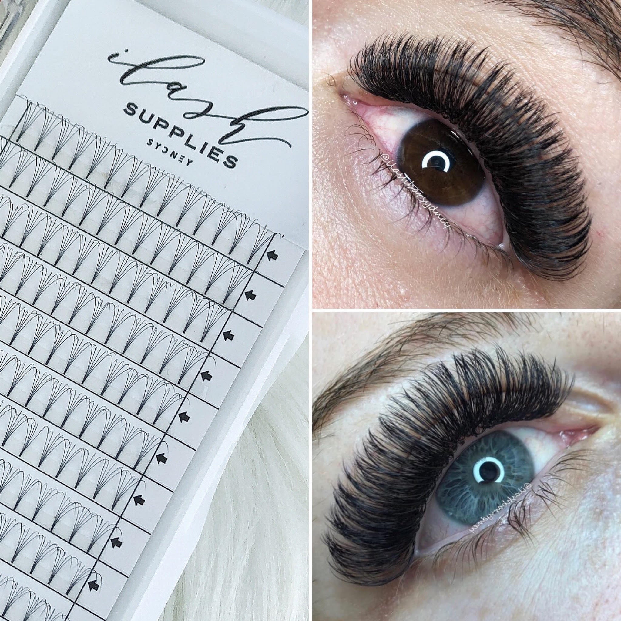 5D C curl Premade fans