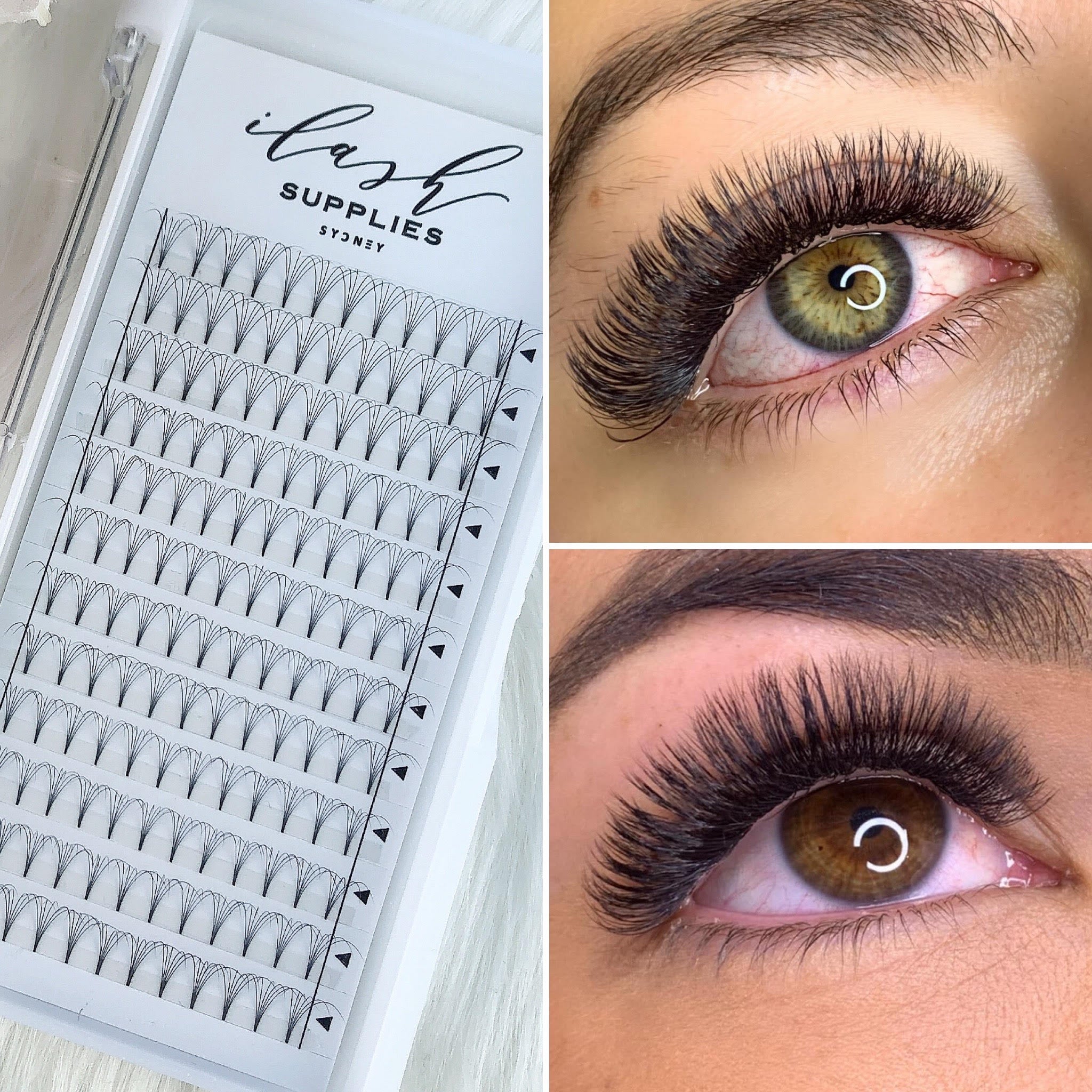 6D C curl Premade fans